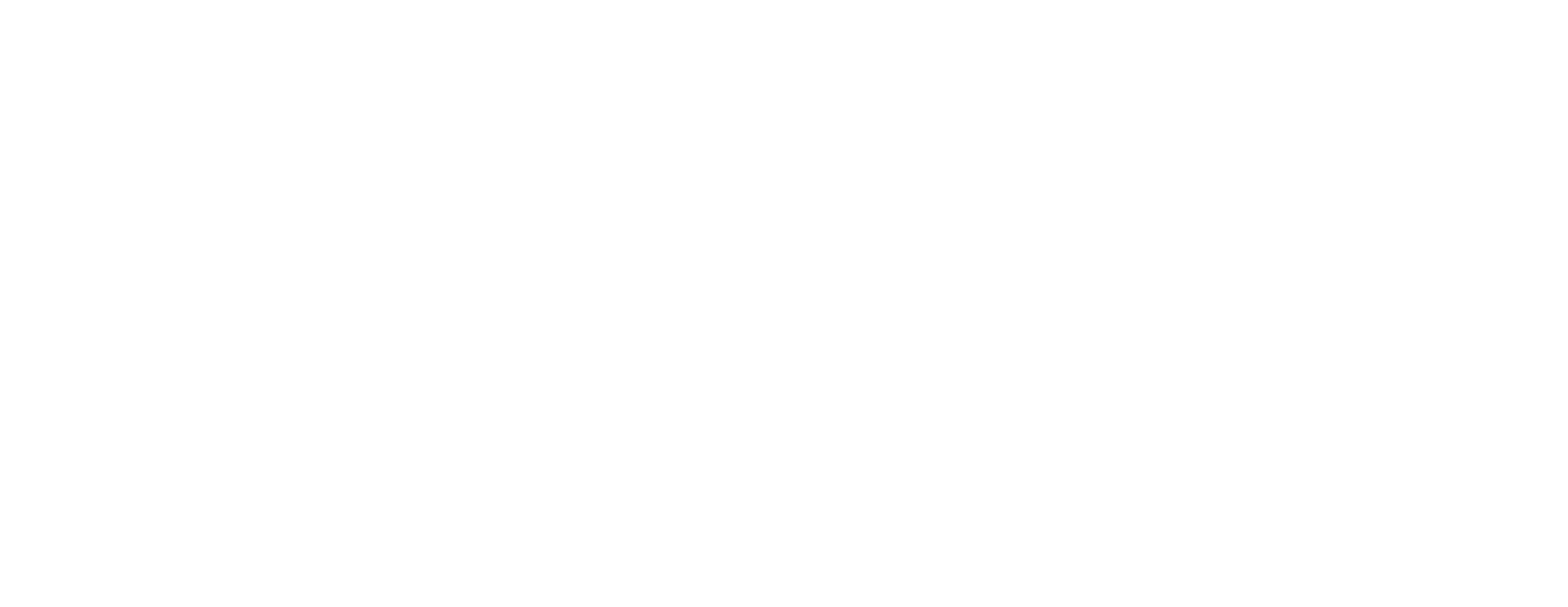The Lighters 萊特姐弟 logo